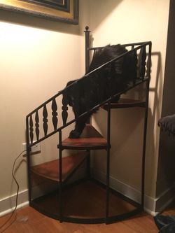 Pet top spiral staircase