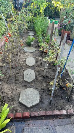 Stepping Stones