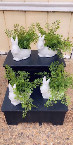 Artificial Bunny Plants
