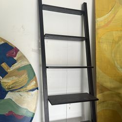 Leaning Ladder Bookcase