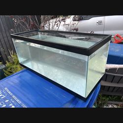 Fish Tank (20 Gallon, Long)