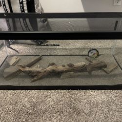 20 gal tank