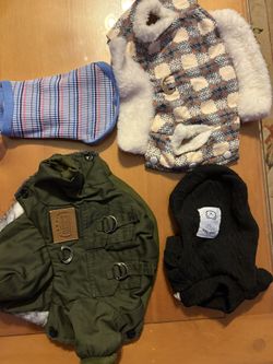 Doggie Clothes