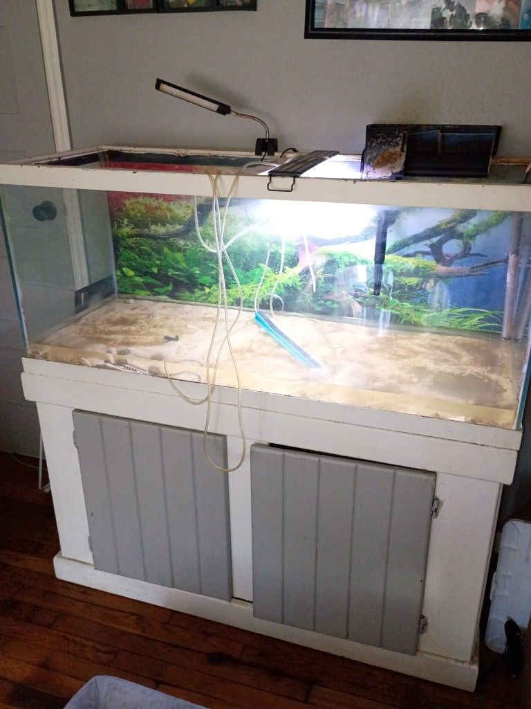 Fish Tank And Stand