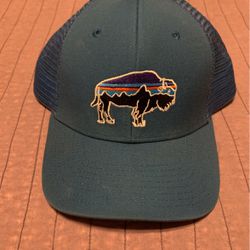 Patagonia Bison Adjustable Snapback Hat