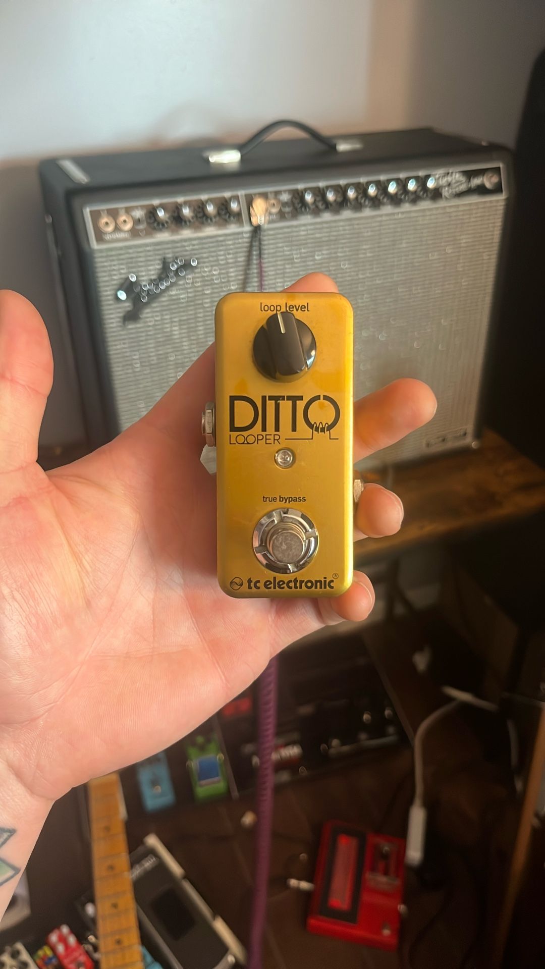 Limited edition Ditto Looper