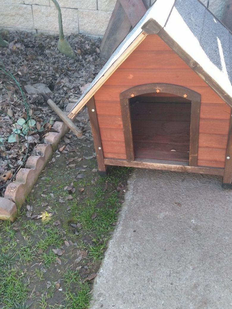 Dog House