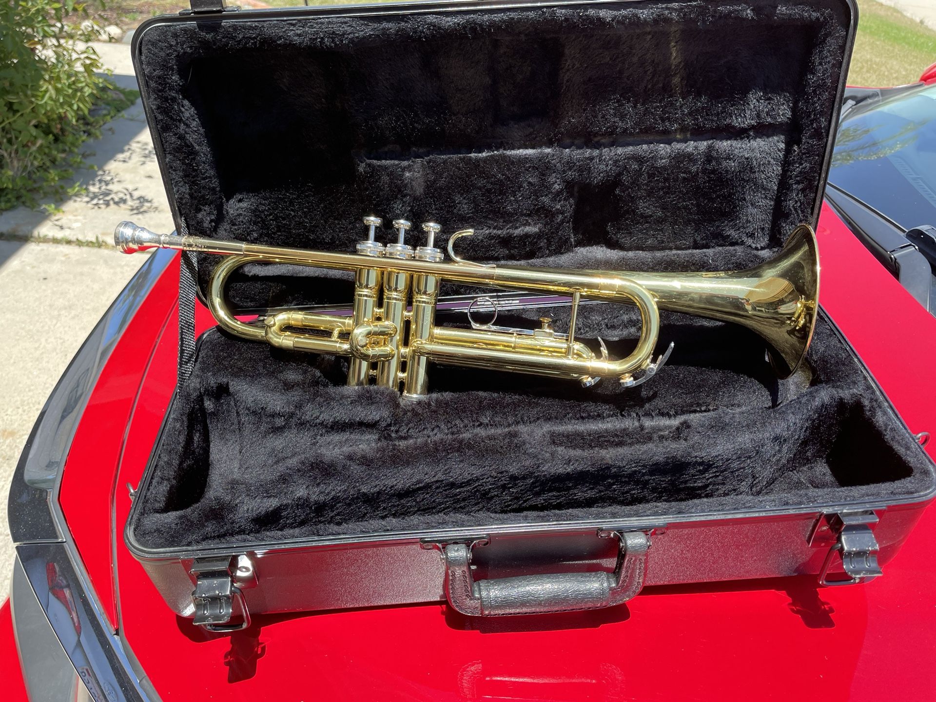King Trumpet