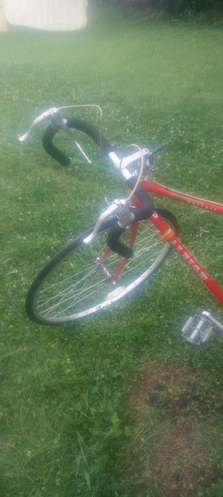 1980s Raleigh Bike