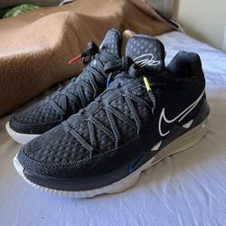 Lebron 17 Low