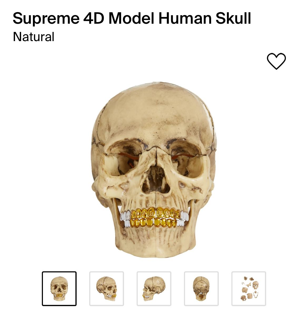 Supreme 4D Model Human Skull SUPREME 4D MODEL HUMAN SKULL 21-piece