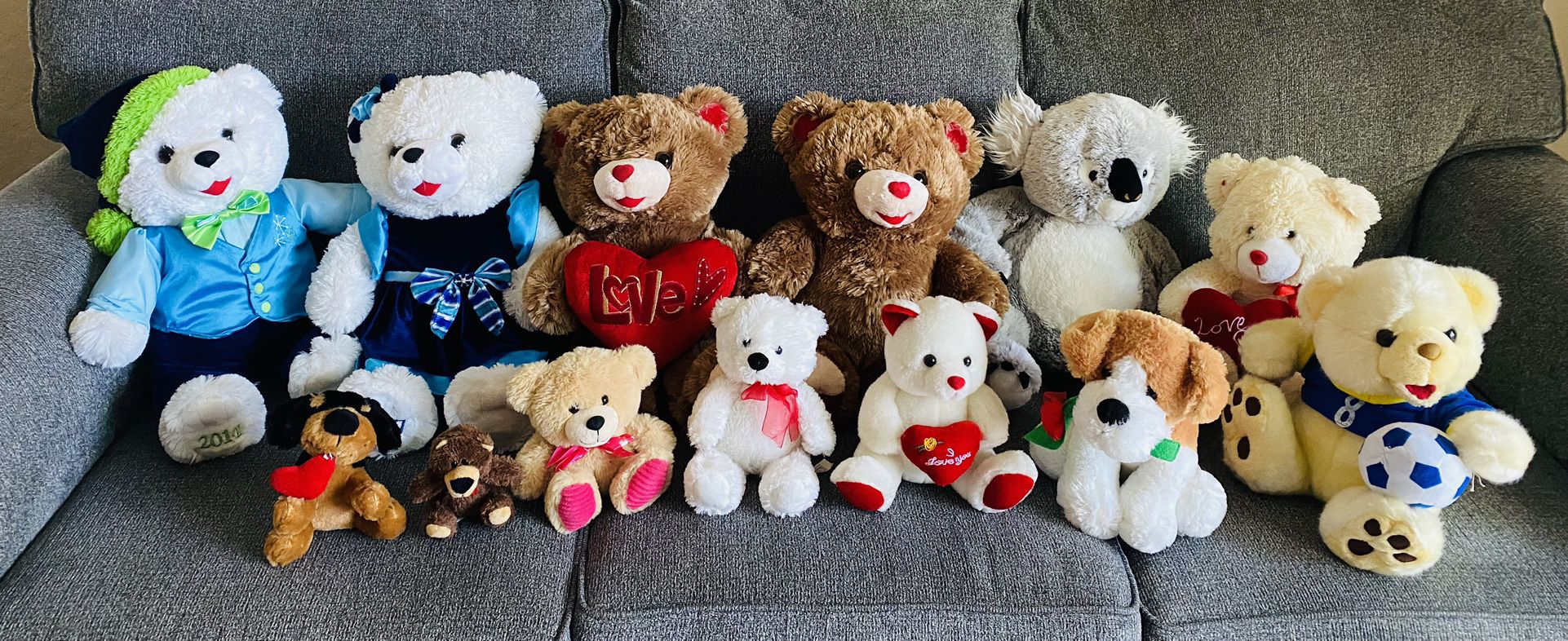 Variety of 13 Teddy’s like new 