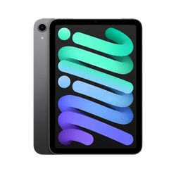 iPad Air Mini with WiFi