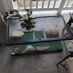 Reptile Terrarium With Some Accessories 