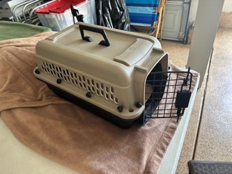 Sturdy Grreat Choice pet carrier