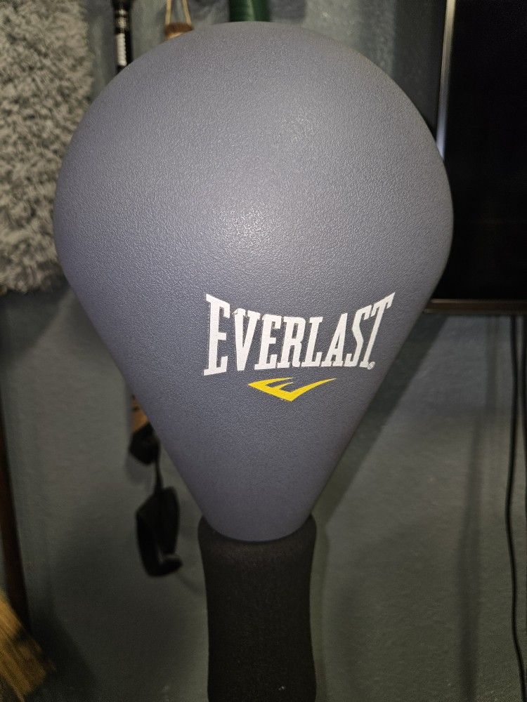 Everlast Hyperflex Punching Bag