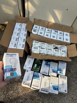 Light bulbs