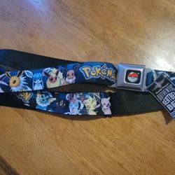 Pokemon Belt