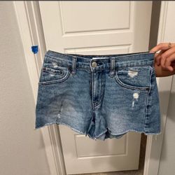Rsq 25 inch shorts