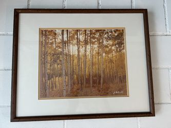 Framed Artwork  - 16x13