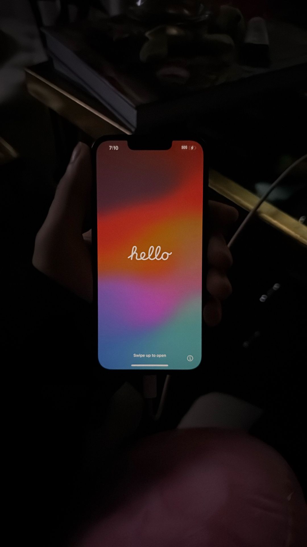 iPhone 13 Pro (Cracked Back)