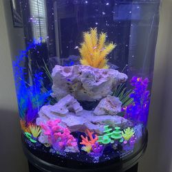 40 gallon fish tank