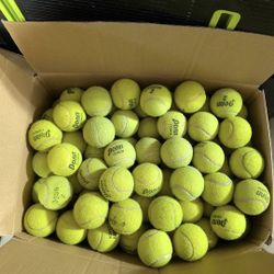 Used Tennis Balls 