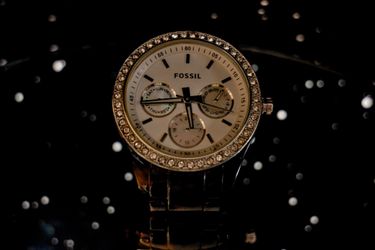 fossil tortoise watch