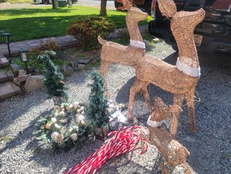 Christmas bundle