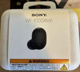 Sony WF-1000XM6, Black, Best Noise Cancelling Earbuds, Everything is in box.