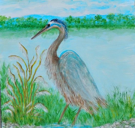 24 X 24 Blue Heron In Marsh