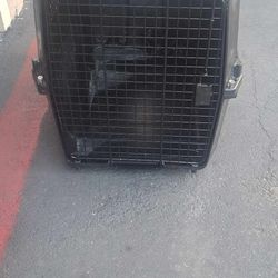Dog kennel