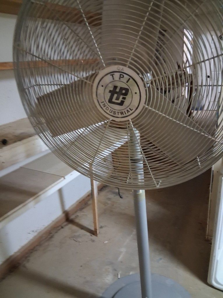 Big Fan