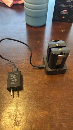 Extra batteries for ring camera