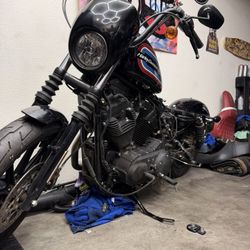 2021 Iron Sportster 1200 