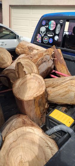 Eucalyptus Firewood