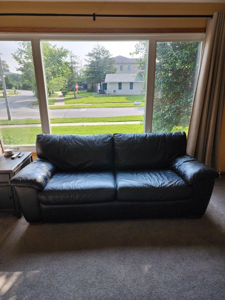 Leather Sleeper Sofa