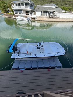 15 foot Boston whaler