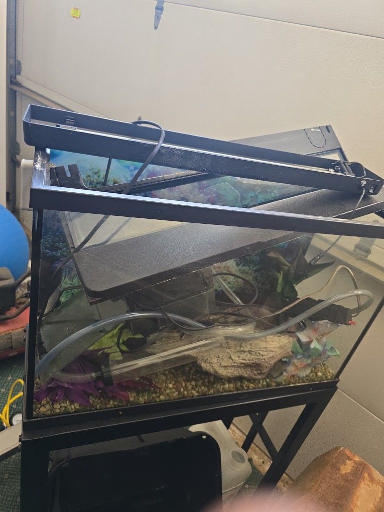 Fish Tank - No Fish Included