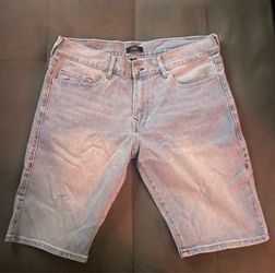 True religion jorts