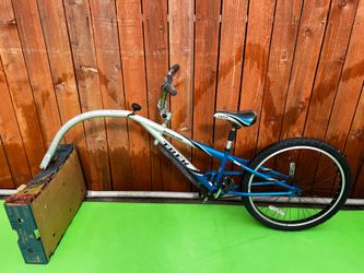 Trailer bike