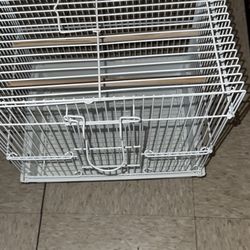Buggie Parakeet cage comes with food and treats