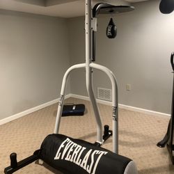 Everlast Boxing Bag 