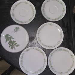 Noritake Japan 2021 Piedmont China