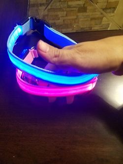 Led dog collar