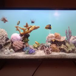 Smart Roku TV