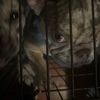Edgar 