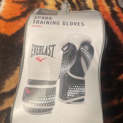 Everlast Boxing Gloves