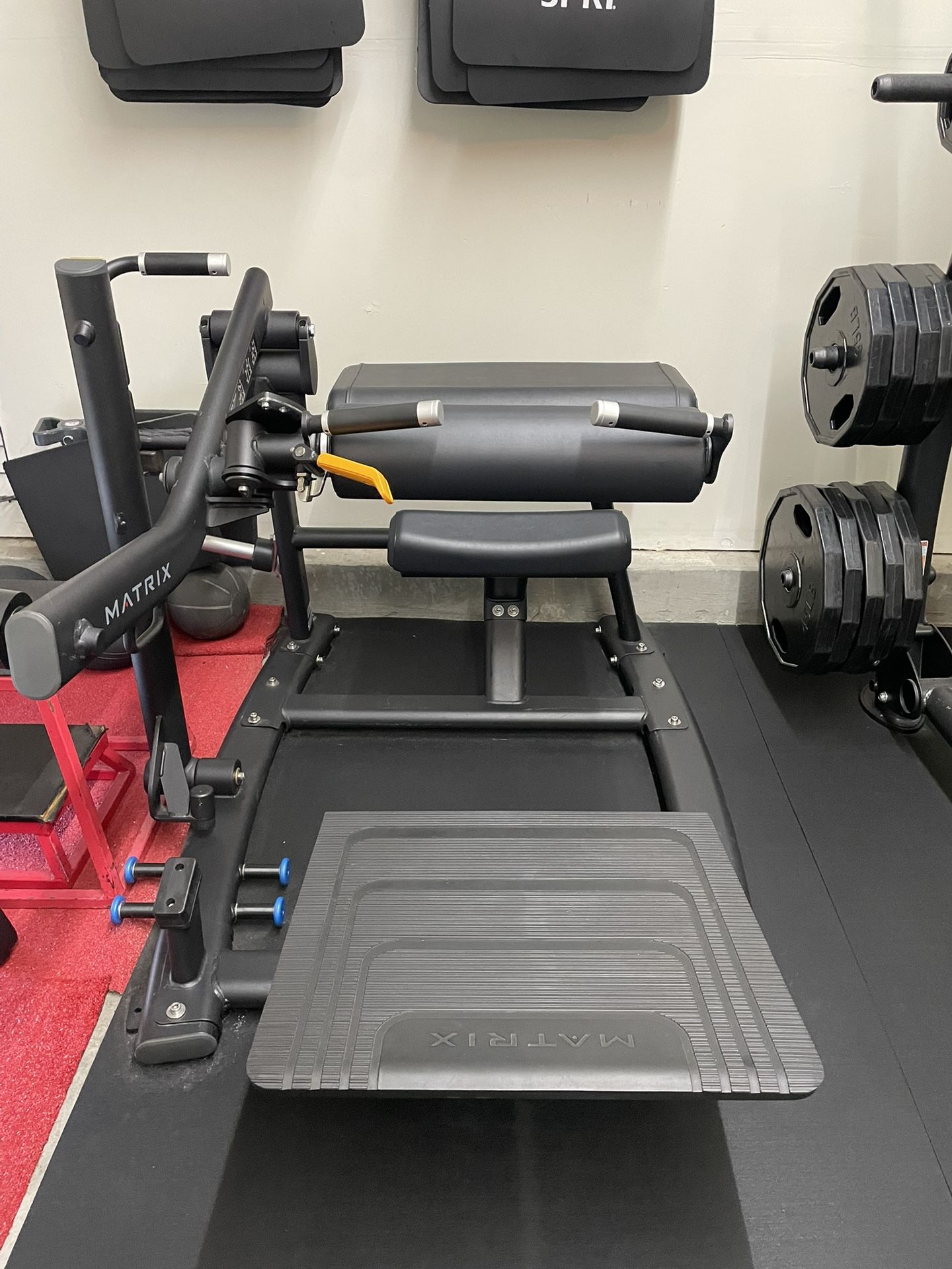 Matrix Glute Machine