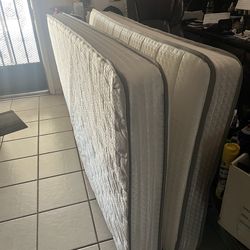 2 Twin Mattresses